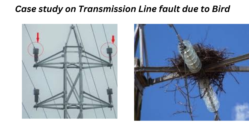 Case study on Transmission Line fault due to Bird