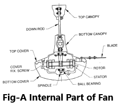 Internal Parts of Ceiling Fan