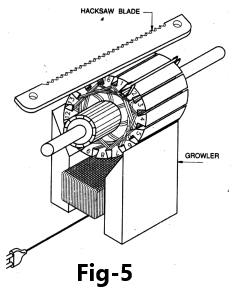 What is Motor Growler test